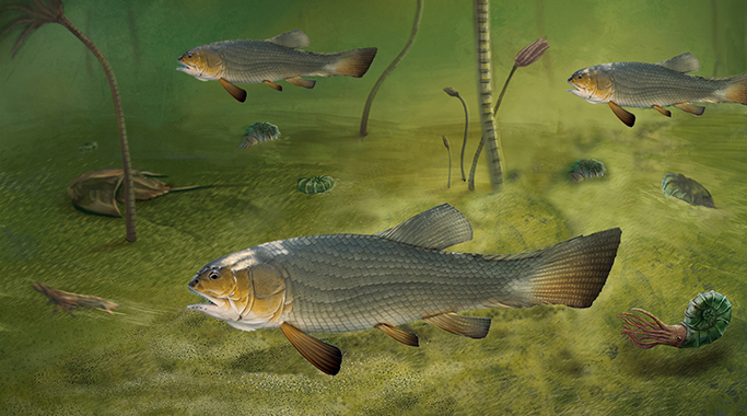 圆尾滇东鱼生态复原